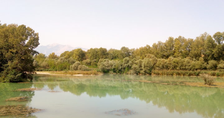 Visuale del lago della Serranella con intorno gli alberi