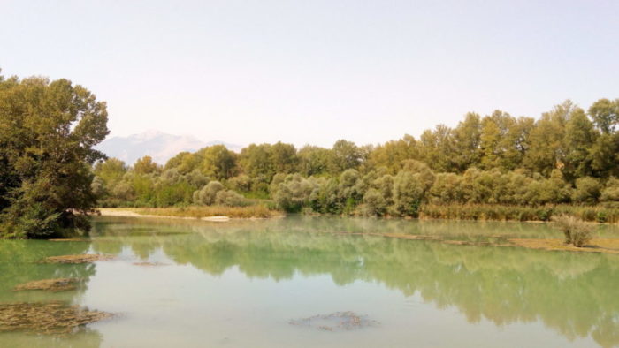 Visuale del lago della Serranella con intorno gli alberi