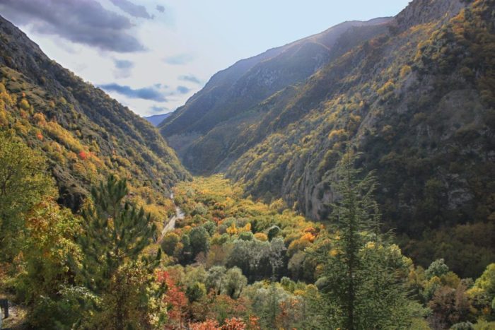 Un paesaggio autunnale con alberi dai tanti colori (arancio, giallo, verde) a far loro da cornice delle montagne