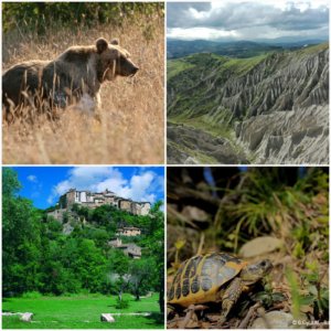 Orso Marsicano, Calanchi di Atri, Anversa degli Abruzzi, Testudo hermanni di Torino di Sangro