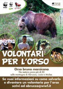 Camapagna volontariato WWF per l'orso marsicano