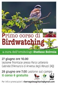 Birdwatching ad Anversa