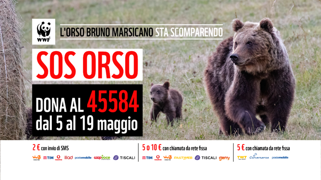 Orso con orsetto e numeri telefono campagna orso wwf